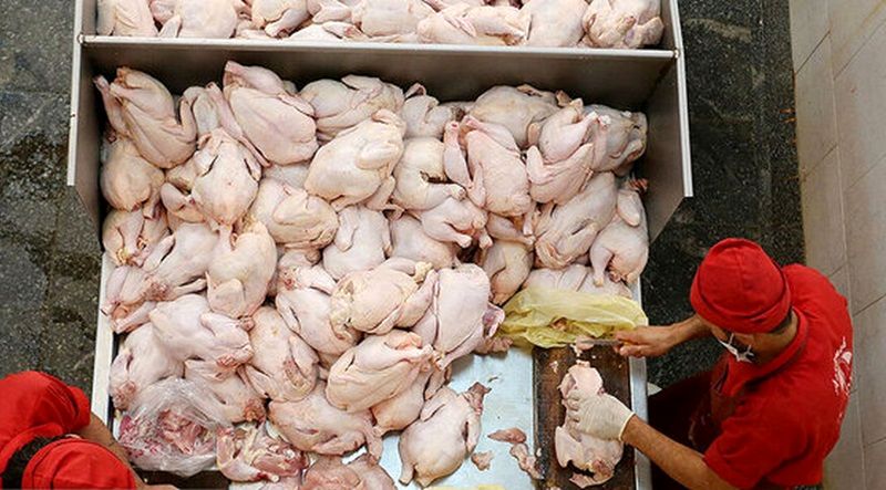 قیمت جدید گوشت قرمز و دام زنده جمعه ۹ آذر؛ تحرکات تازه در بازار
