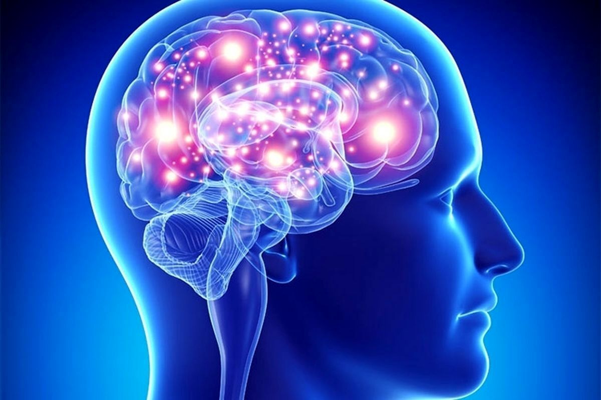 چرا حافظه انسان برخی چیزها را فراموش میکند؟