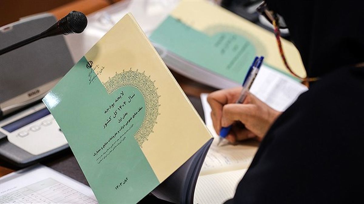 بودجه ۱۴۰۴ در موضوع واقعی کردن منابع و مصارف دولت با سیاست های کلی برنامه هفتم انطباق دارد