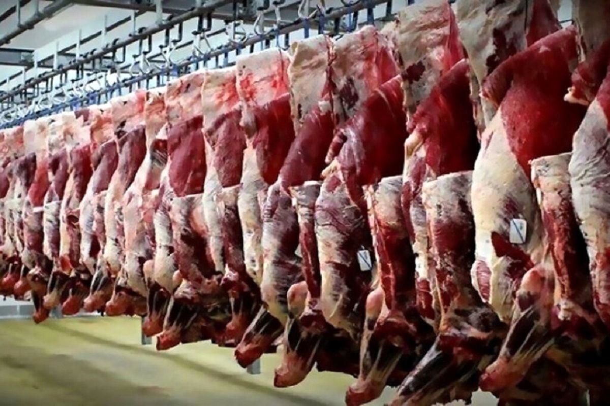 قیمت گوشت قرمز امروز ۸ دی ۱۴۰۳