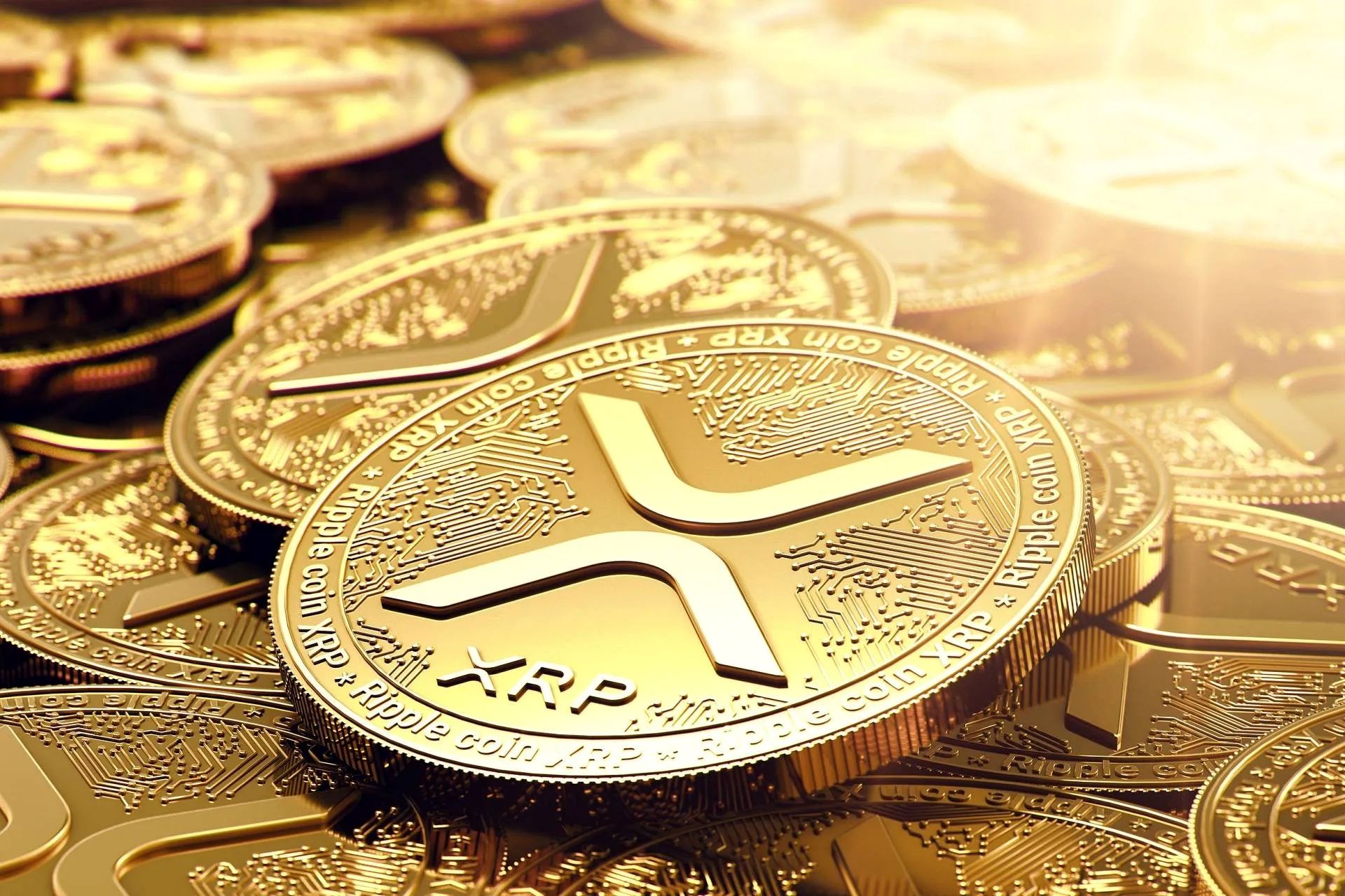 قیمت ریپل امروز ۳۰ دی ۱۴۰۳