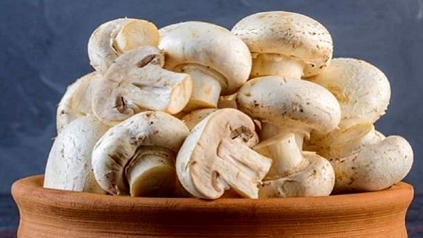 قیمت قارچ افزایشی شد
