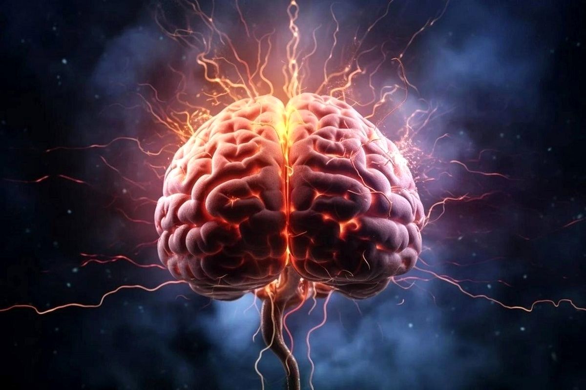 یک رژیم غذایی که حافظه را تقویت میکند