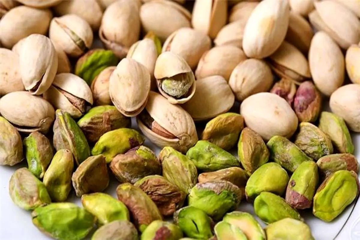 تداوم صادرات پسته / فروش گیاهان دارویی ایران به امریکا تحریم است
