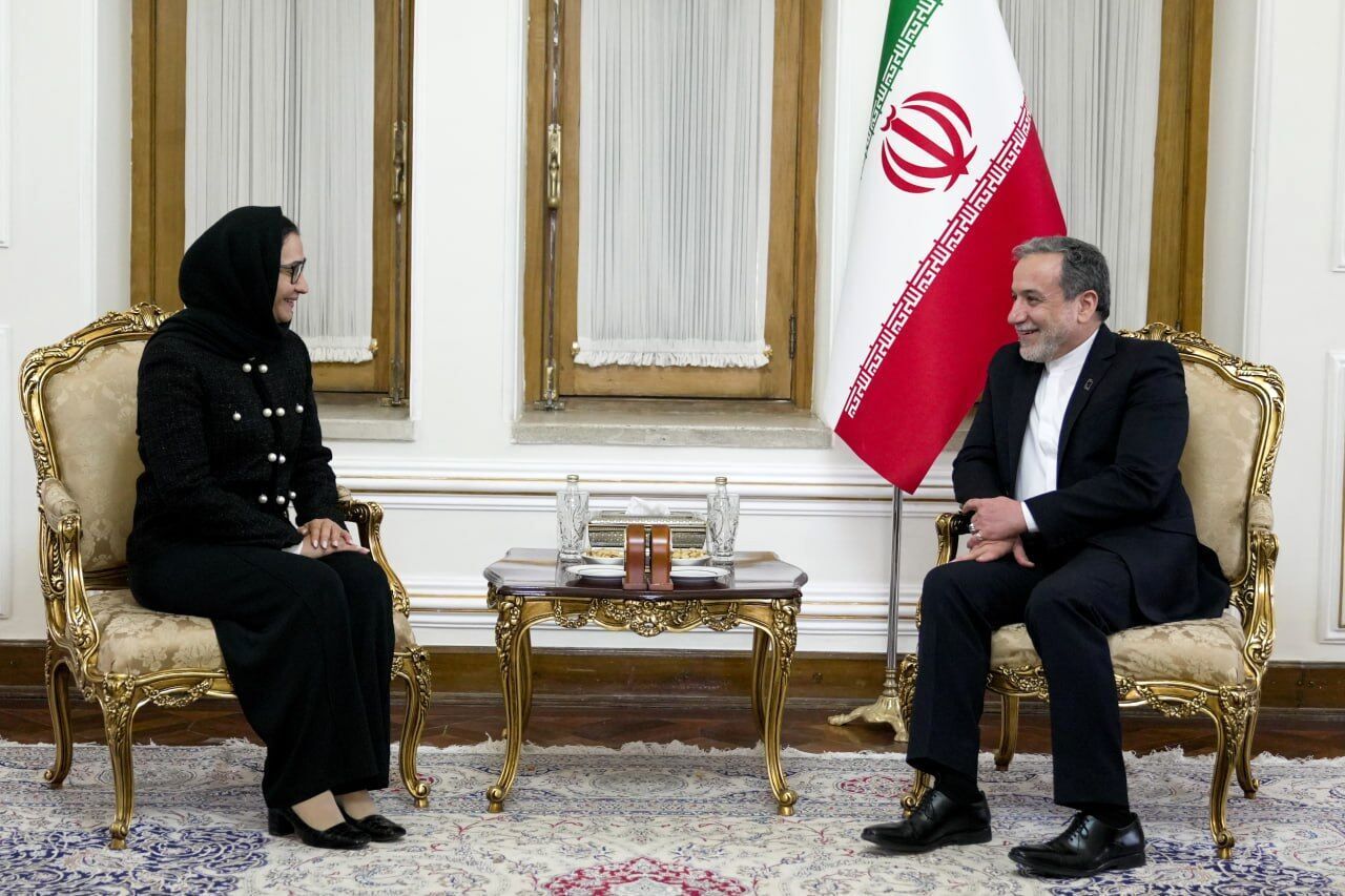 عراقچی: مدیریت بحران انسانی در غرب آسیا نیازمند همکاری‌ کشورهای اروپایی است