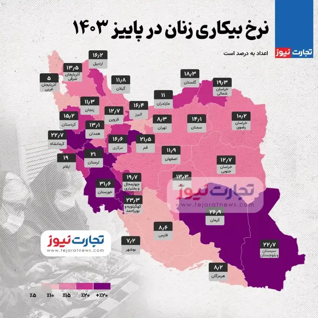نرخ بیکاری زنان در 31 استان کشور (پاییز 1403) + اینفوگرافیک IMG_0720