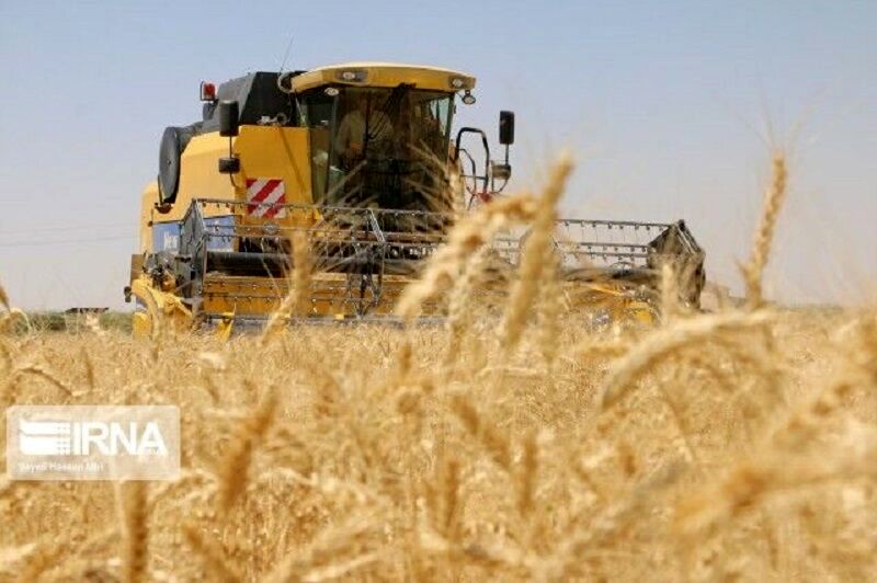 ثبات نسبی در بازار محصولات غذایی