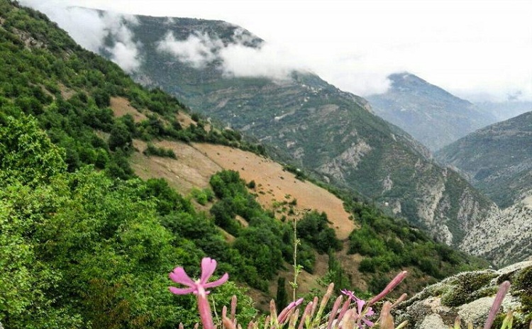 روستای-نشترود