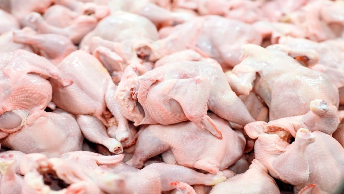 قیمت گوشت مرغ، امروز ۲۱ فروردین ۱۴۰۴