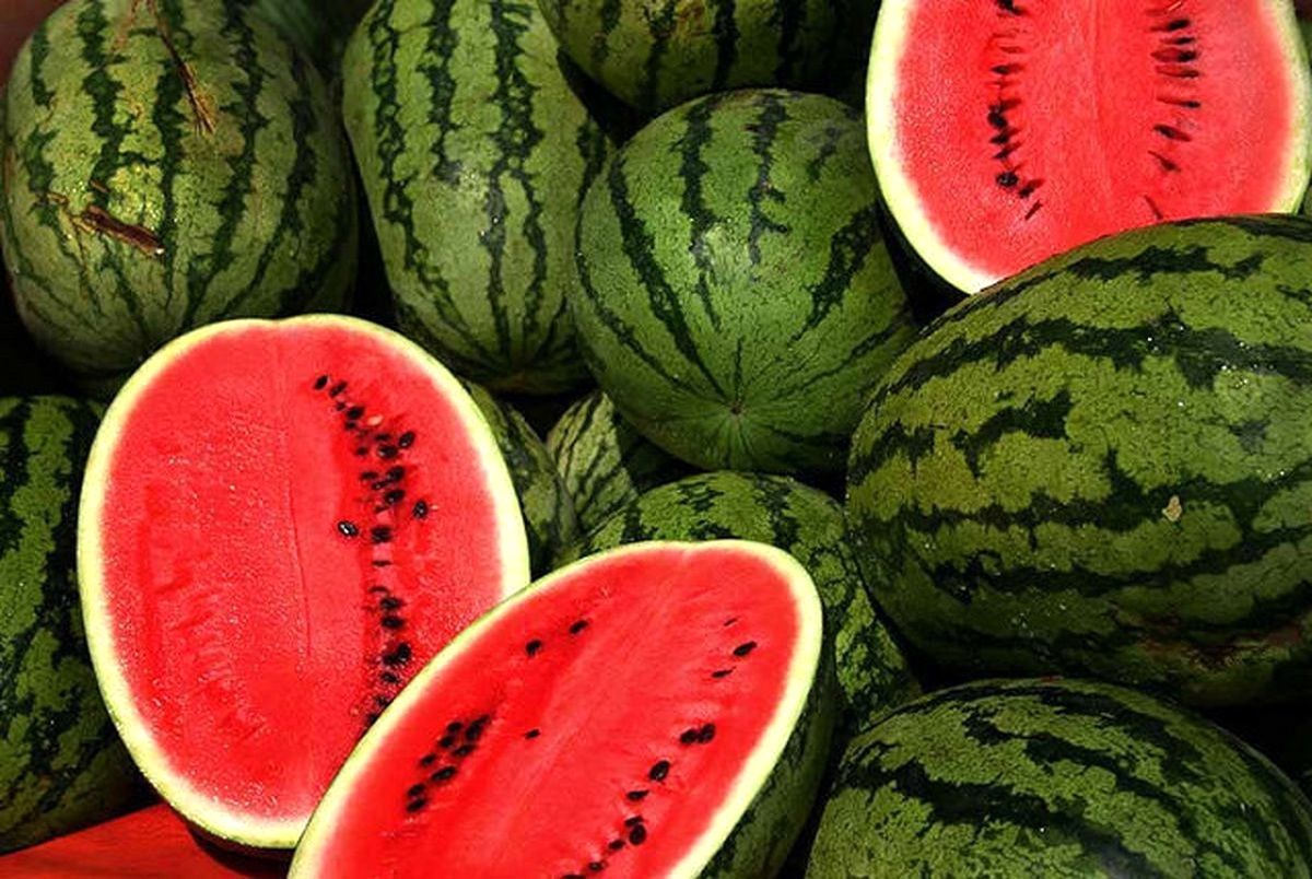 ترفند؛ چگونه یک هندوانه‌ی خوش‌طعم انتخاب کنیم؟