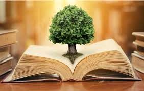 بهترین کتاب‌هایی که باید بخوانید