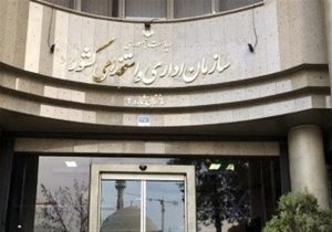 ابلاغ قانون جدید سازمان اداری و استخدامی/ اخراج این کارمندان ممنوع شد